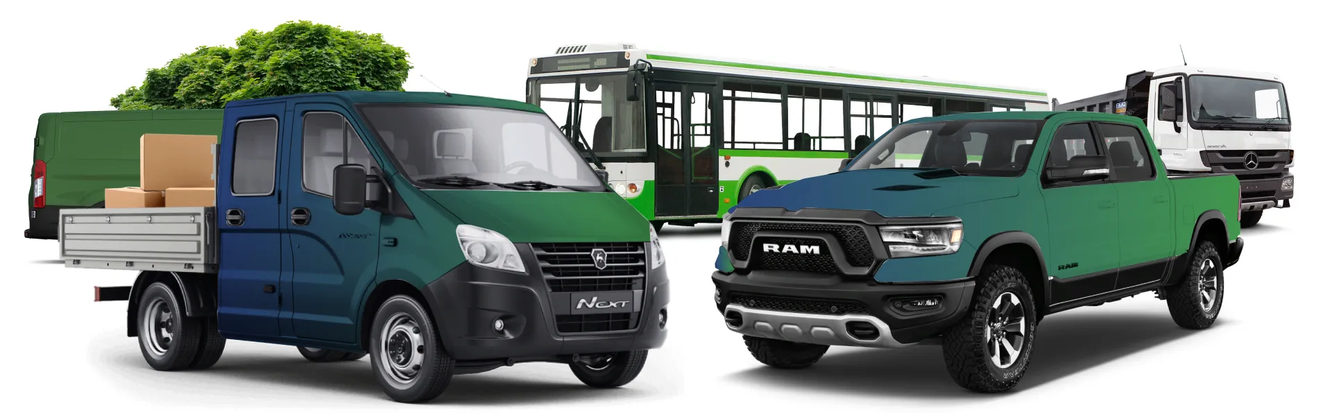 Купить права